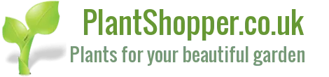 plantshopper.co.uk