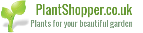 plantshopper.co.uk