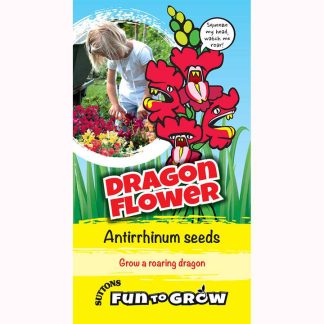 Antirrhinum Seeds - Dragon Flower (Magic