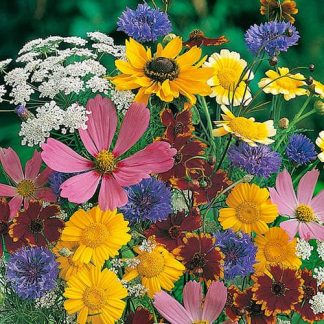 Mixed Wildlife Attracting Annuals Seeds