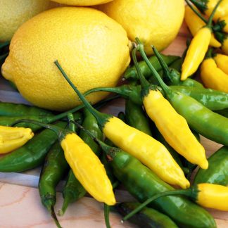Pepper Chilli Seeds - Peruvian Lemon