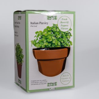 Grow Your Own! Italian Parsley - Herb Grow Set