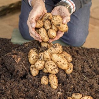 Complete Patio Potato Growing Selection