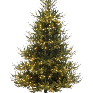 Christmas Tree - Prelit Brunswick Pine - Approx. 6ft