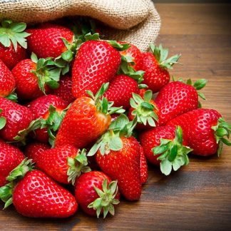 Everbearer Strawberry 'Sweet Summer'