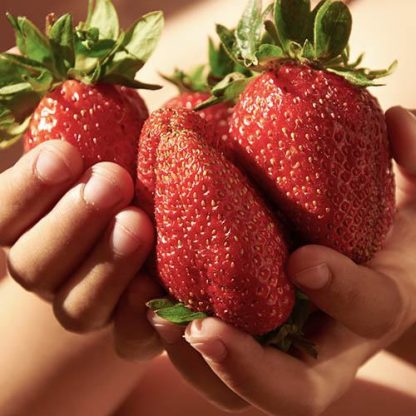 Strawberry 'Sweet Colossus'