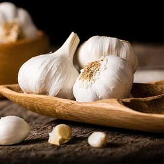 Garlic (Spring & Autumn) Extra Early