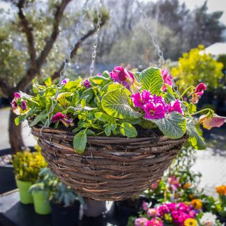 Brown Rattan Hanging Basket - Pack of Two - Large (35cm)