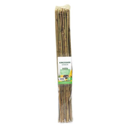 60cm Bamboo Canes 20 Pack