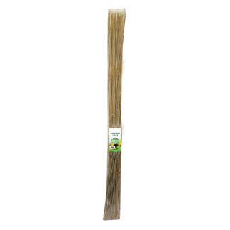 10 Pack of 150cm Bamboo Canes