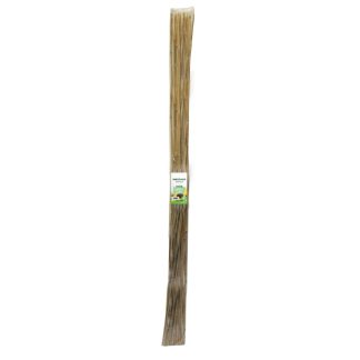 10 Pack of 180cm Bamboo Canes