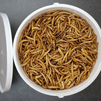 Premium Dried Mealworms For Wild Bird - 1 Litre Tub