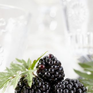 Rubus Thornless Evergreen