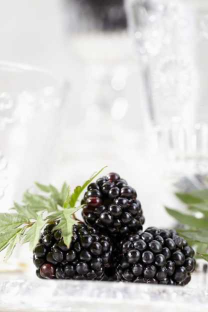 Rubus Thornless Evergreen