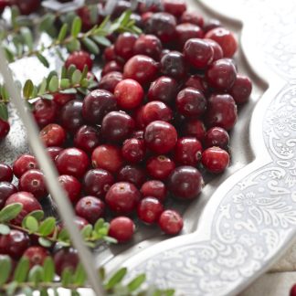 Vaccinium Macrocarpon 'Early Black' - Cranberry