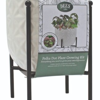 Bees Polkadot Grow Pot On Stand