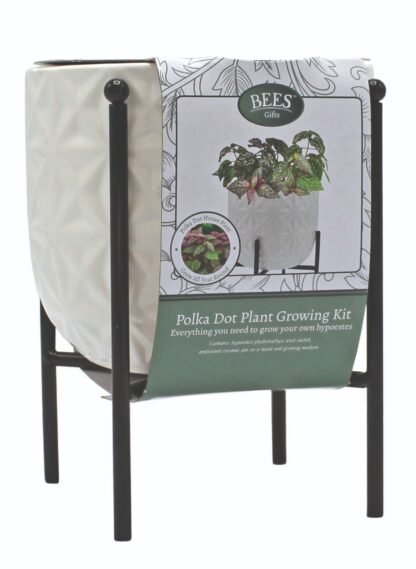 Bees Polkadot Grow Pot On Stand