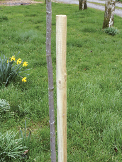 Round Tree Stake 1.53m