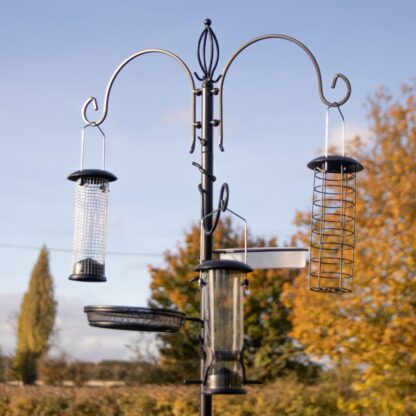 Complete Garden Bird Dining Station With 3 Feeders