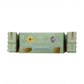 Bees Perfect Pollinators Cracker Duo