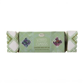 Bees Scented Climbers Cracker Duo