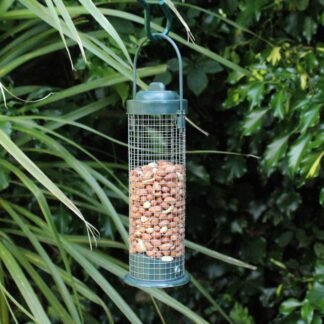 Green Standard Bird Nut Feeder