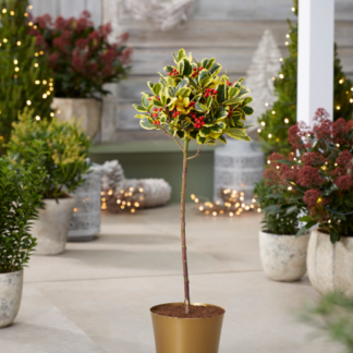 Small Gold Plastic Plant Cover Pot  - 9.5cm Diameter
