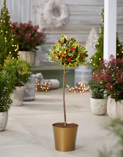 Small Gold Plastic Plant Cover Pot  - 9.5cm Diameter