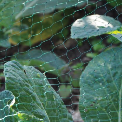 Garden Pond Netting - 3m x 2m
