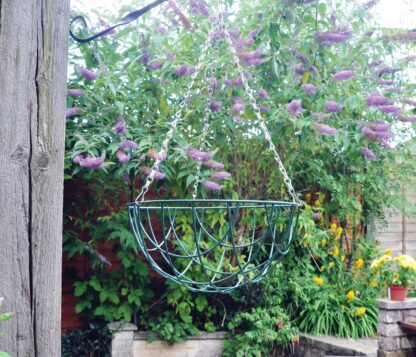 Hanging Basket - 12 Inch