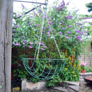 Hanging Basket - 14 Inch