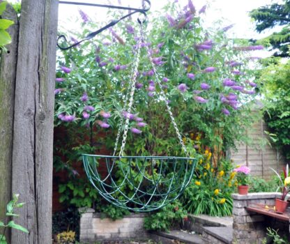 Hanging Basket - 14 Inch