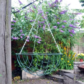 Hanging Basket - 16 Inch