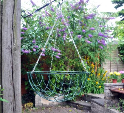 Hanging Basket - 16 Inch