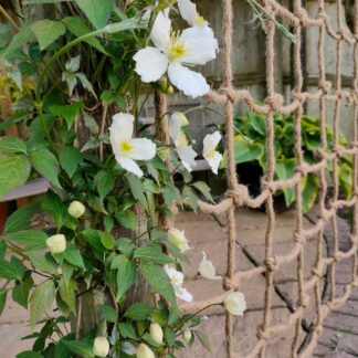 Rope Trellis 1.8x1.8m