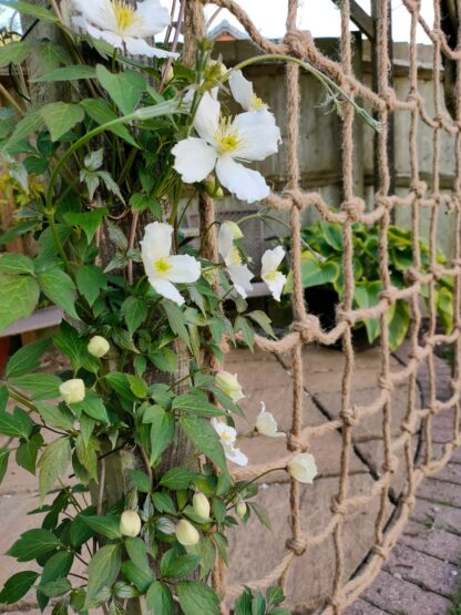 Rope Trellis 1.8x1.8m