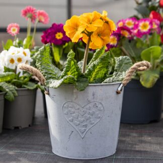 Heart Zinc Pot With Hessian Ears - Medium (18cm)