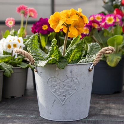 Heart Zinc Pot With Hessian Ears - Medium (18cm)
