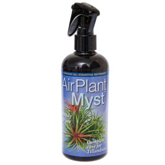 Air Plant Myst