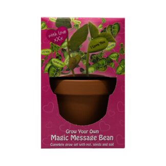 Magic Bean Grow Sets