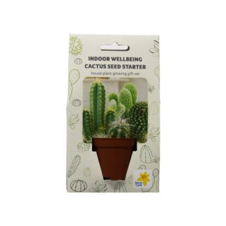 Mc Sow For Wellbeing - House Plants Cactus