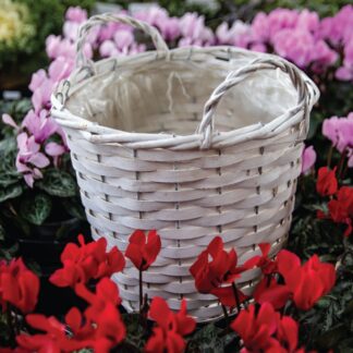 White Display Basket To Fit a 25cm Diameter Pot