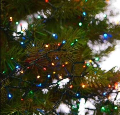 Christmas Tree Lights - 500 Multicolour Sparkle Lights
