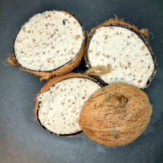 Coconut Halves - Suet