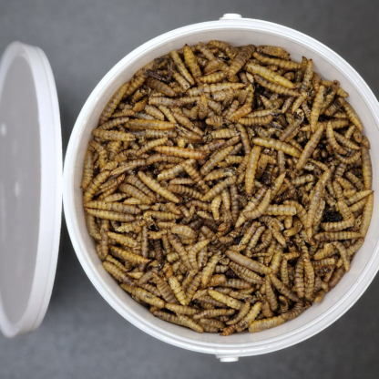 Crunchy Calci Worms - Calcium Rich Insect Feed For Wild Birds - 1 Litre Tub