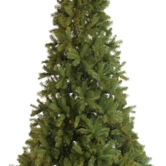 Christmas Tree - Mayberry Spruce - Approx. 7ft