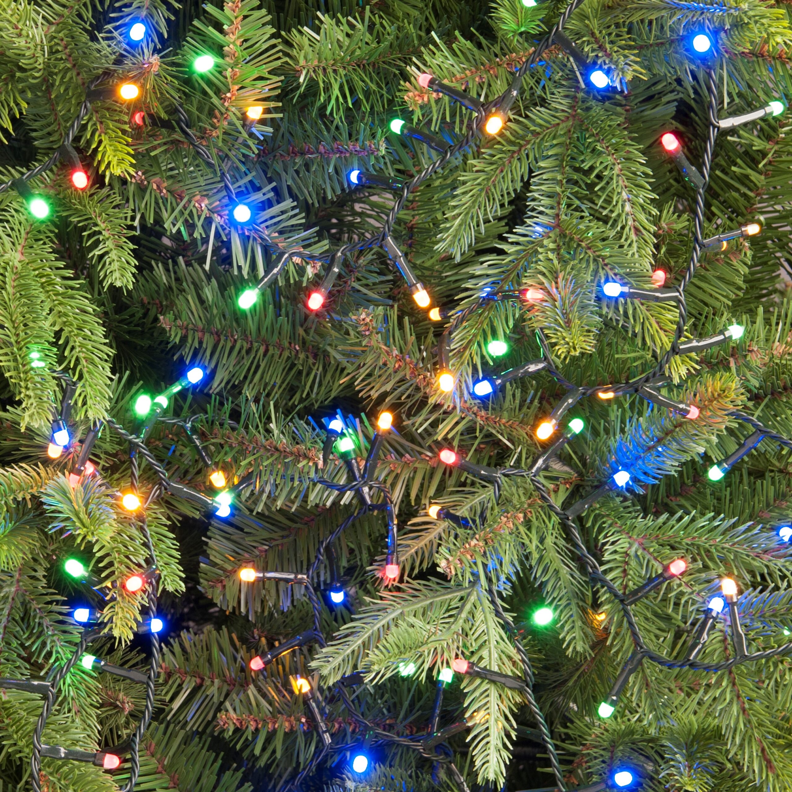 Christmas Tree String Lights - Glow Worm - 360 Multi-Coloured Lights