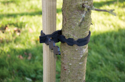 Tree Tie 30cm