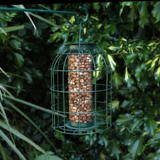 Nut Feeder With Squirrel Guard