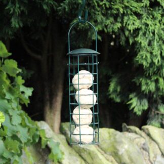 Green Standard Suet Fat Ball Bird Feeder